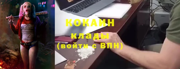 гашиш Богданович